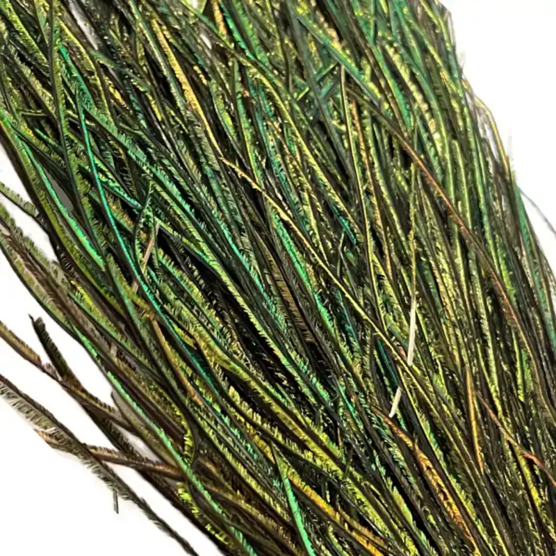Pfauengras - Peacock herl