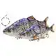 3D Line Thru Roach - 18 cm -  Sinking - Black