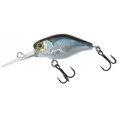 Deep Diving Chubby 38