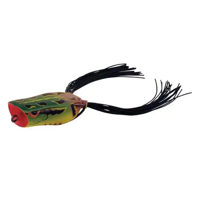 Bronzeye Pop - Albino