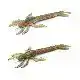 DRGN - 3,5'' - 05