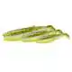 LB Cannibal Shad - 6,8 cm - Blue Pearl