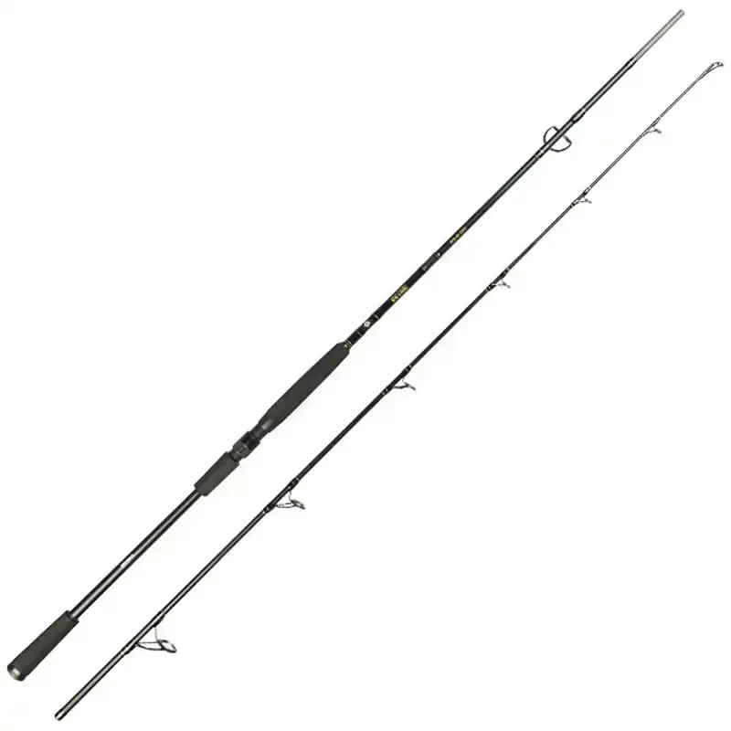 Big Lure Spin Rod - 2,20 m - 40/120 Gramm
