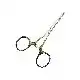 Forceps with Needle - Trout