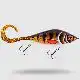 Guppie Junior - Golden Perch