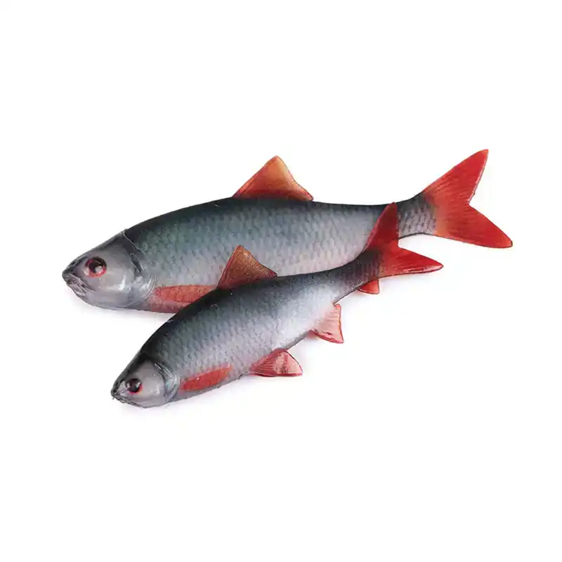 Ultra Natural Roach Fillet - 6 cm