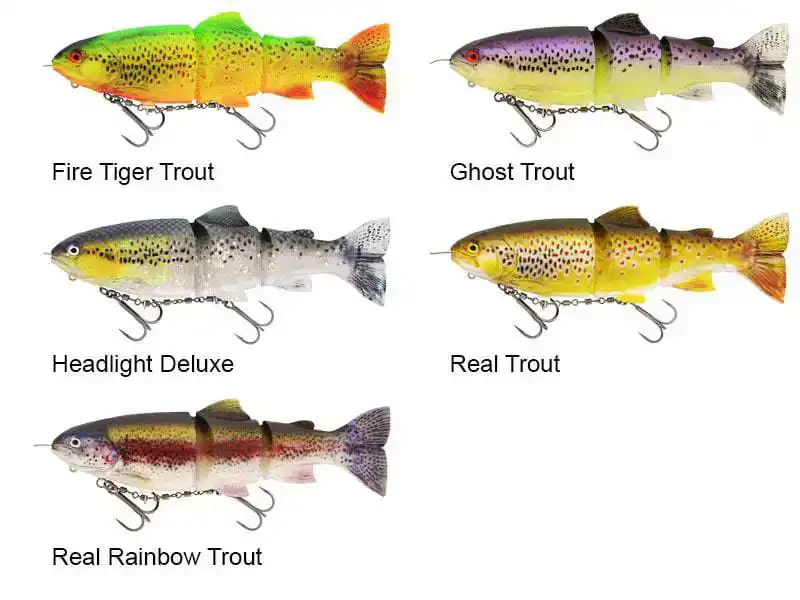 Tommy The Trout Inline