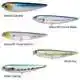 SW Sammy - Green Herring
