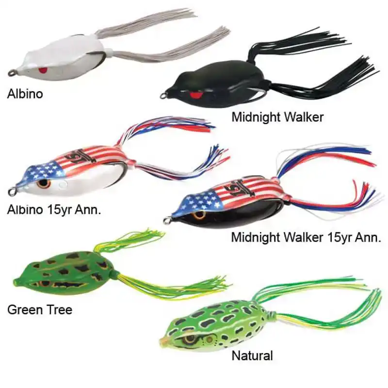 Bronzeye Frog - 6 cm - Albino