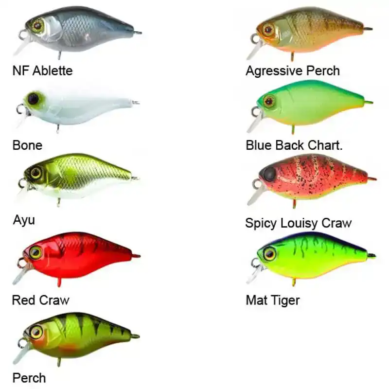 Chubby 38 - Agressive Perch