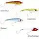 Max 220 - Coral Trout