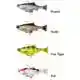 3D Roach Pulsetail - 10 cm - Fire Tiger
