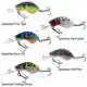 Bumblebee - Speckled Blue Gill