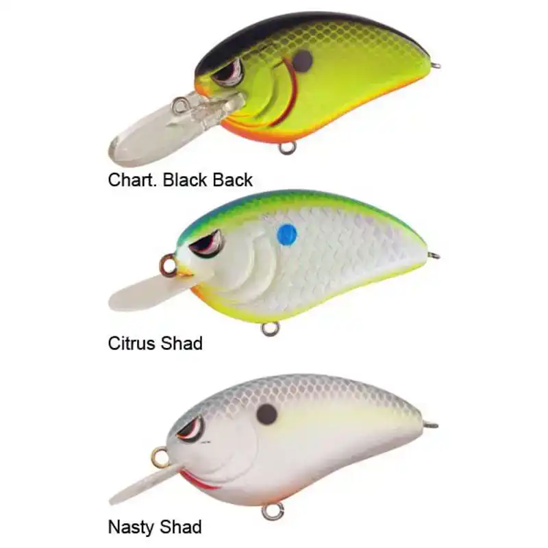 Little John MD - Chart. Black Back