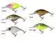 Tight-S Hard Lure - Deep - Fire Tiger