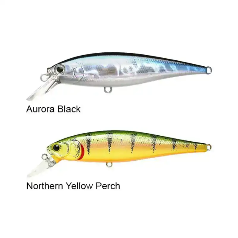 Pointer B'Freeze 100 SP - Aurora Black