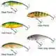 Perch - Floating - 12 cm - Real Roach