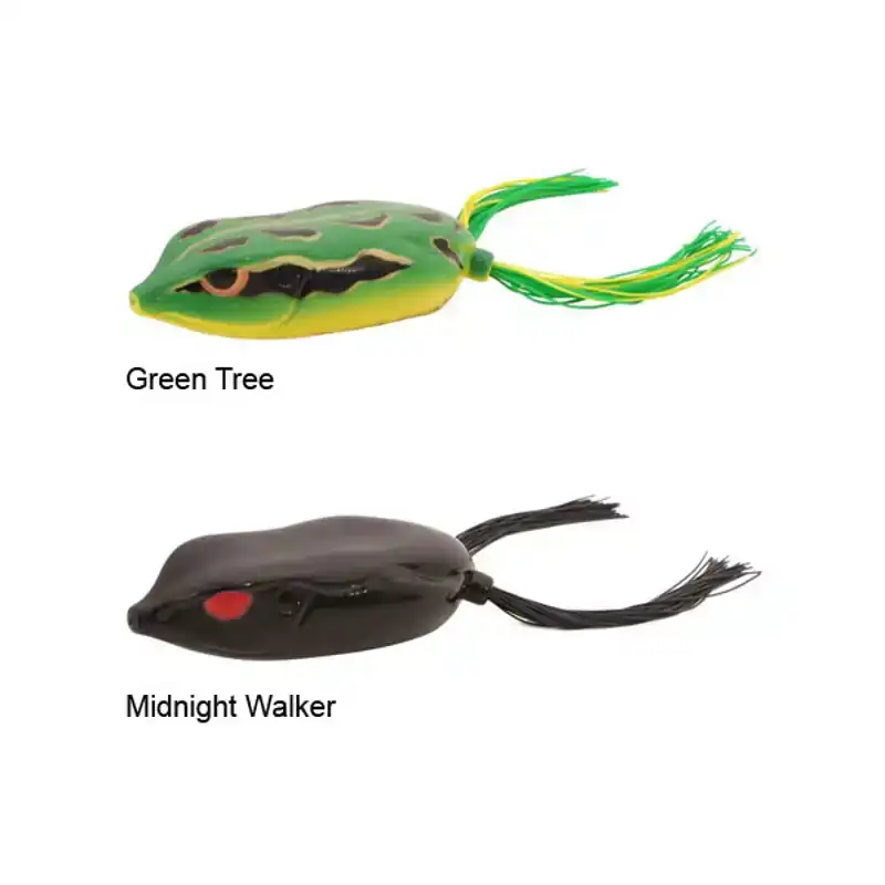 Bronzeye King Daddy - Green Tree