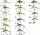 Hornet - Floating - 3,5 cm - Dace Blue