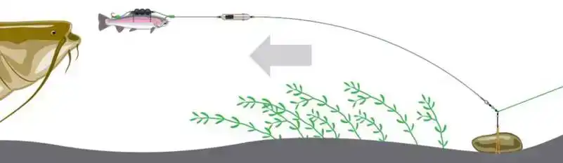 Adjusta Profi River Rig - Deadbait - Größe: L