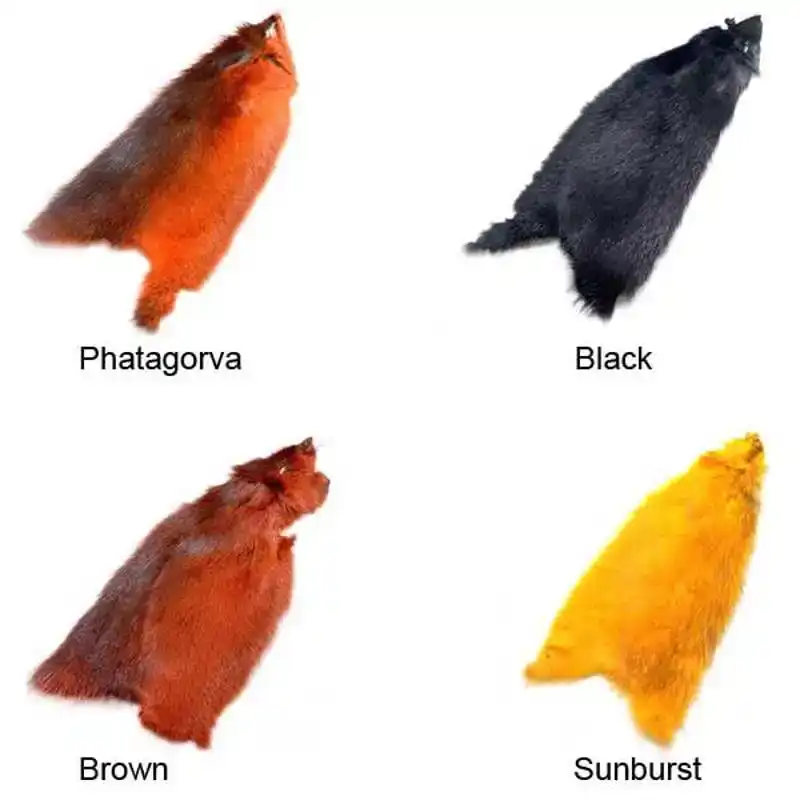 American Ondatra - Black