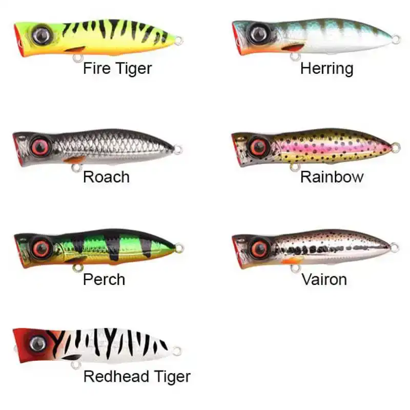 Iris Pop - 5,5 cm - Fire Tiger