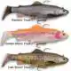 4D Trout Rattle Shad - 12,5 cm - Golden Albino Trout