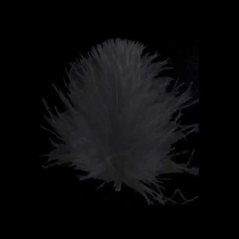 CDC Feathers Super Select - 01  White