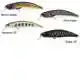Spearhead Ryuki 60S - Full Chart Yamame