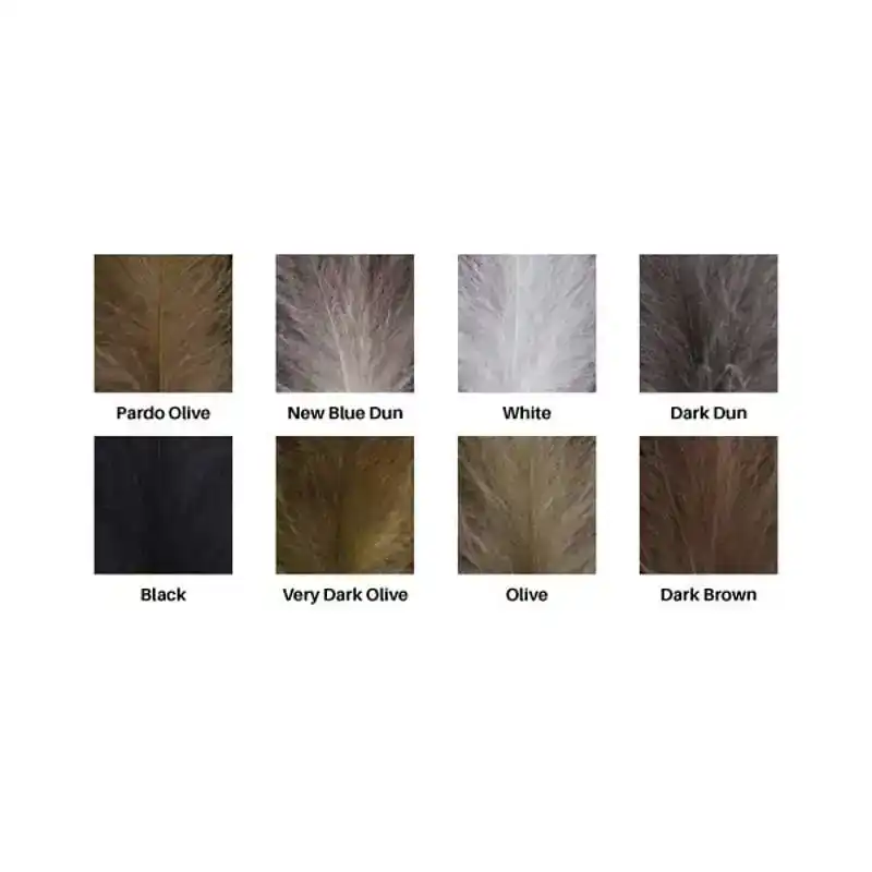 Feathers Standard Grade - Black