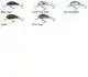 Hornet - Floating - 4 cm - Beetle