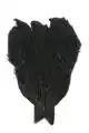 4 B's Hen Cape Black