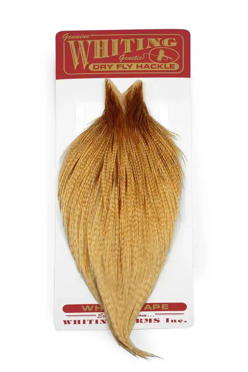 Whiting Commercial Cape Barred Medium Ginger