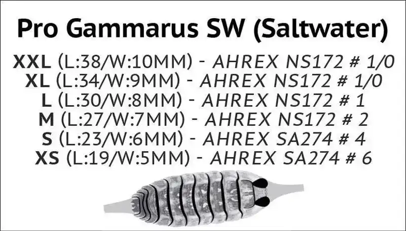 Gammarus SW ShelBack Clear M