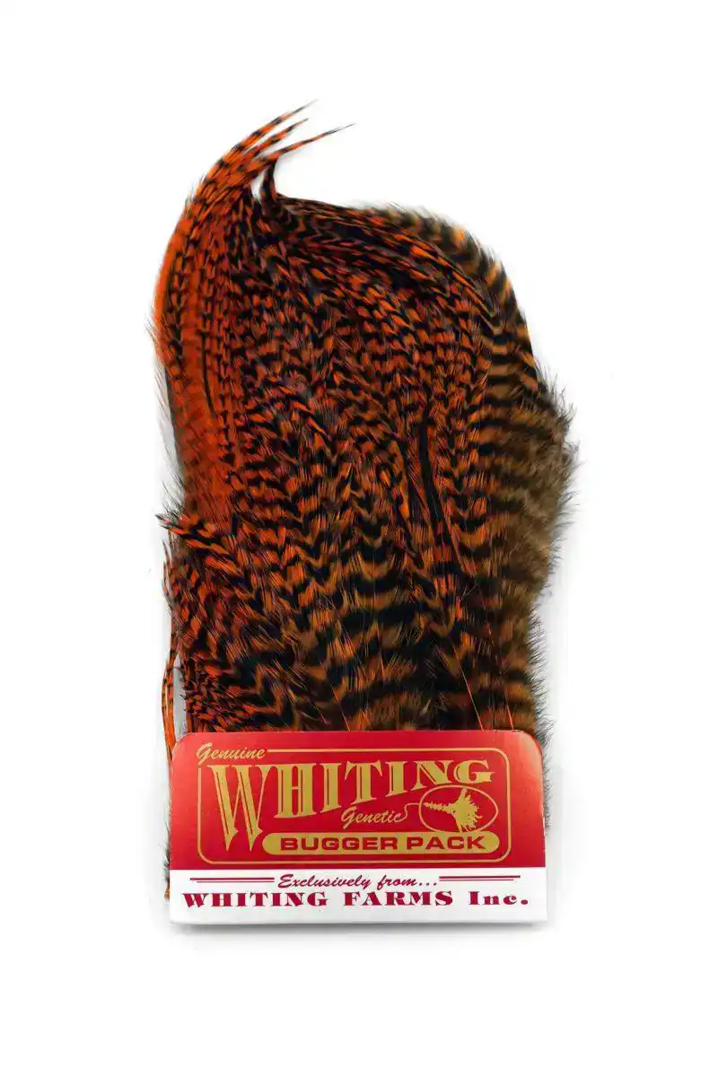 Whiting Bugger Pack Grizzly dyed Burnt Orange
