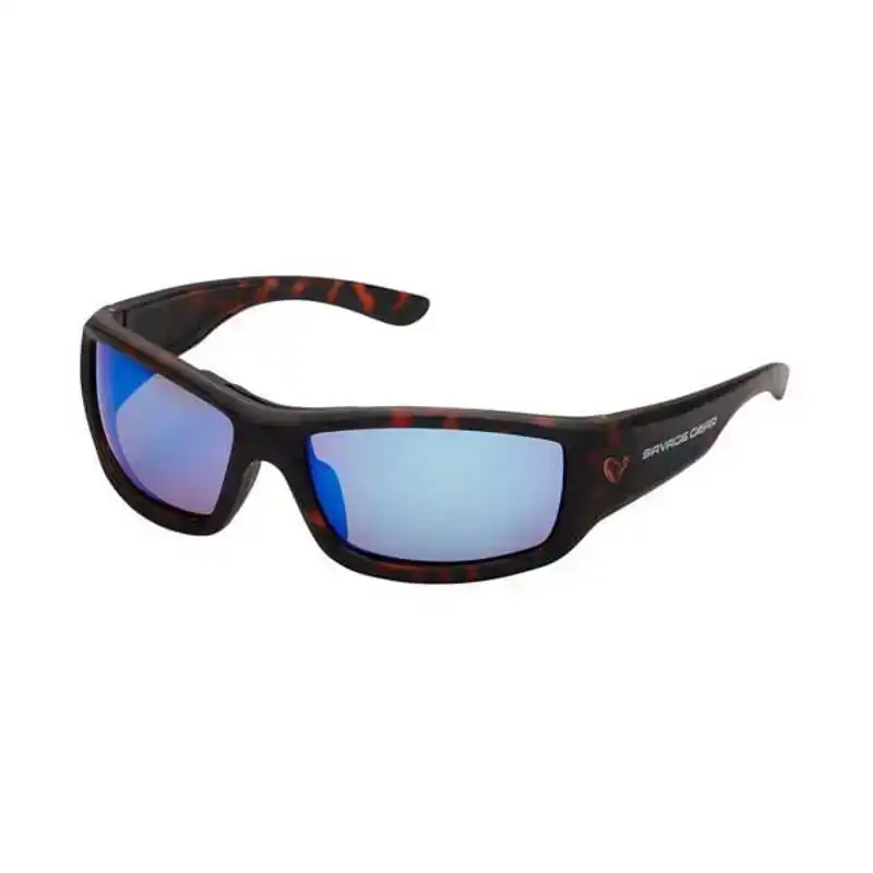 2 Polarized Sunglasses - Black