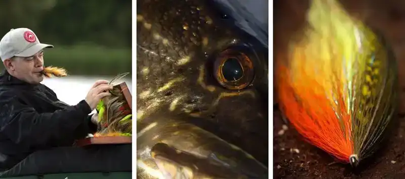 PR351 - Light Predator - Barbless - Größe: 2/0