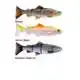 4D Line Thru Trout - 20 cm - Moderate Sink - Fire Trout
