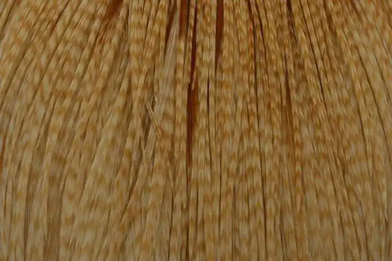 Whiting Commercial Cape Barred Medium Ginger