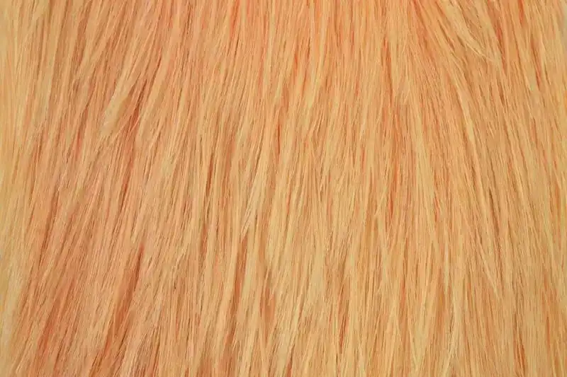 Spey Hackle Rooster Cape Bronze White dyed Salmon