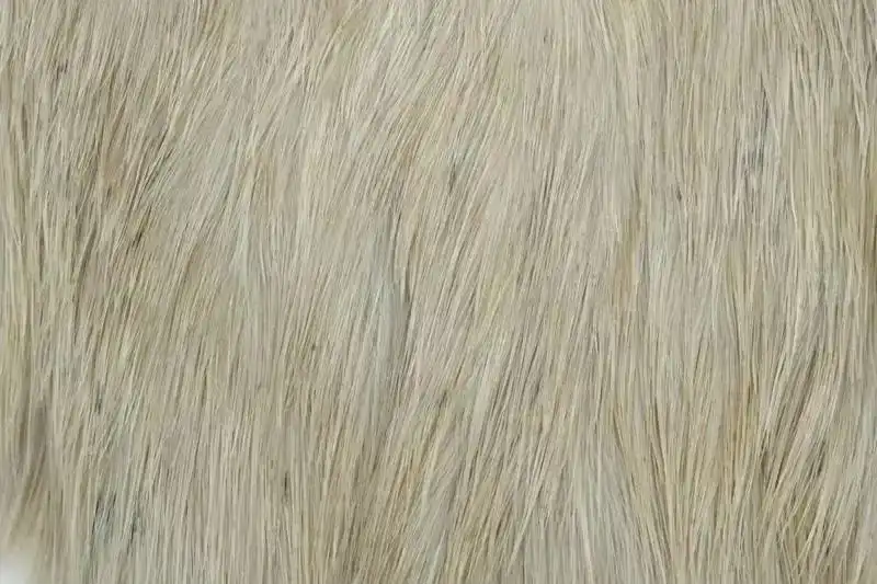 Spey Hackle Hen Cape Pale Watery Dun