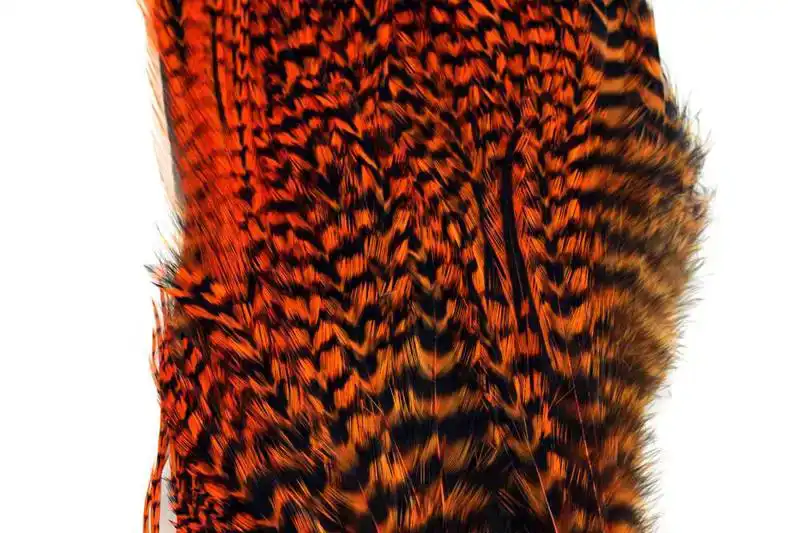Whiting Bugger Pack Grizzly dyed Burnt Orange