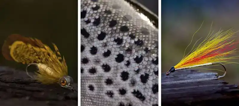 NS118 Classic Streamer #10