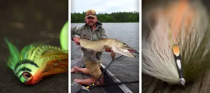 PR320 Predator Stinger #1