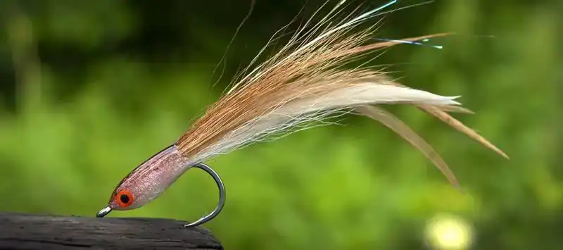 SA280 Minnow #1