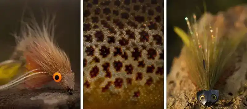 TP650 26 Degree Bent Streamer #1