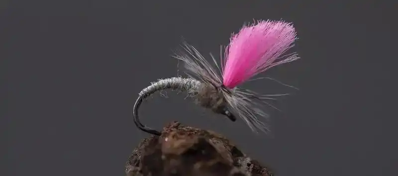 FW525 Super Dry Barbless #10